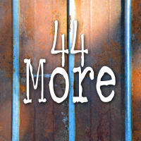 44 More - Full Cover cover